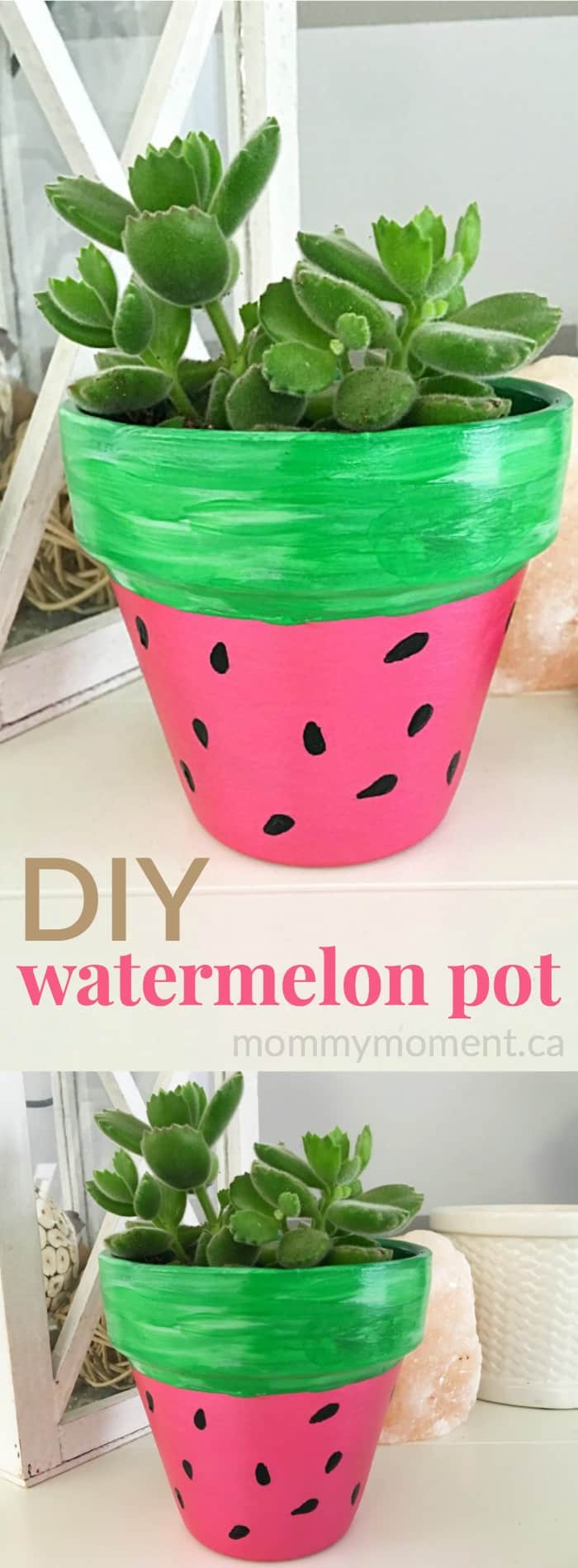 DIY Handpainted Watermelon Flower Pot