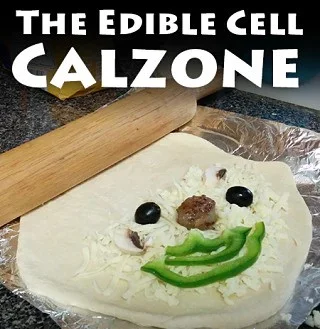 Eat a Cell Model