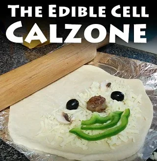 biology projects genetics Eat a Cell Model