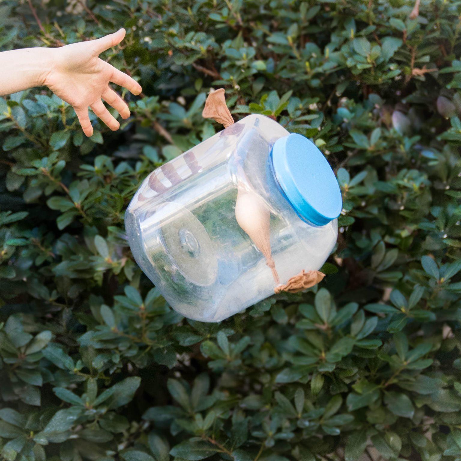 27 Fun & Creative Egg Drop Challenge Ideas - Education Corner