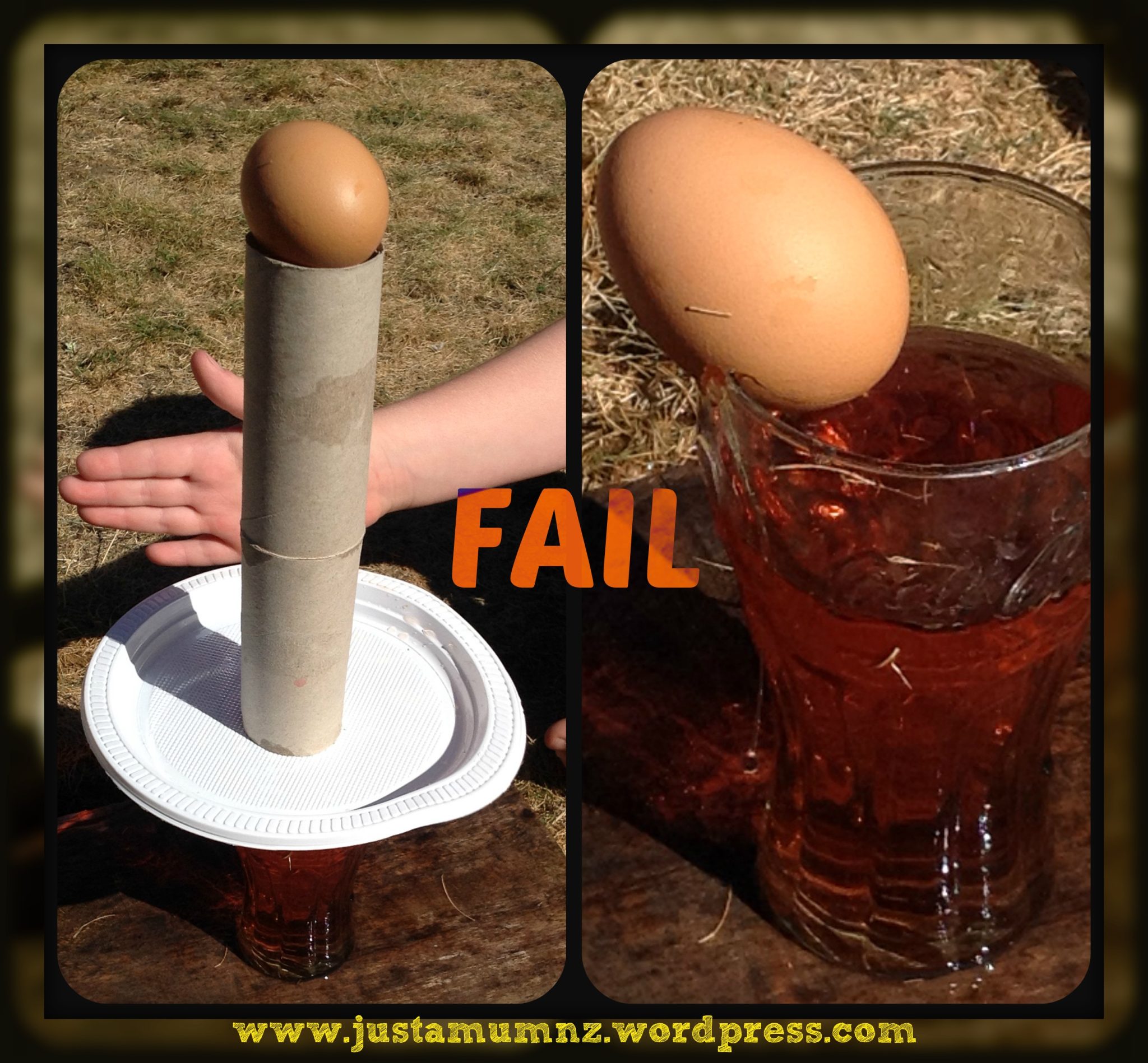 27 Fun & Creative Egg Drop Challenge Ideas - Education Corner
