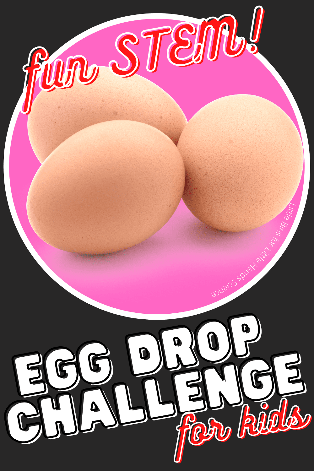 Egg Drop Challenge