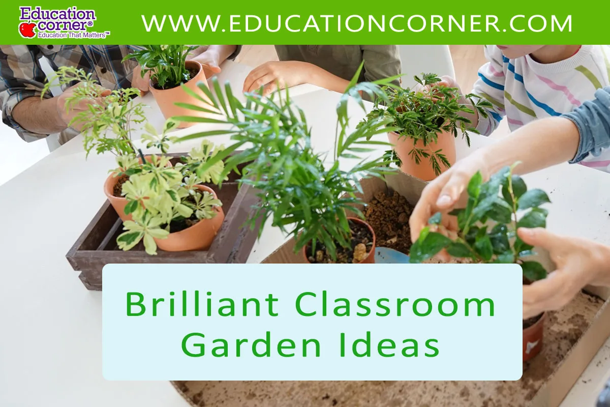 Classroom garden ideas