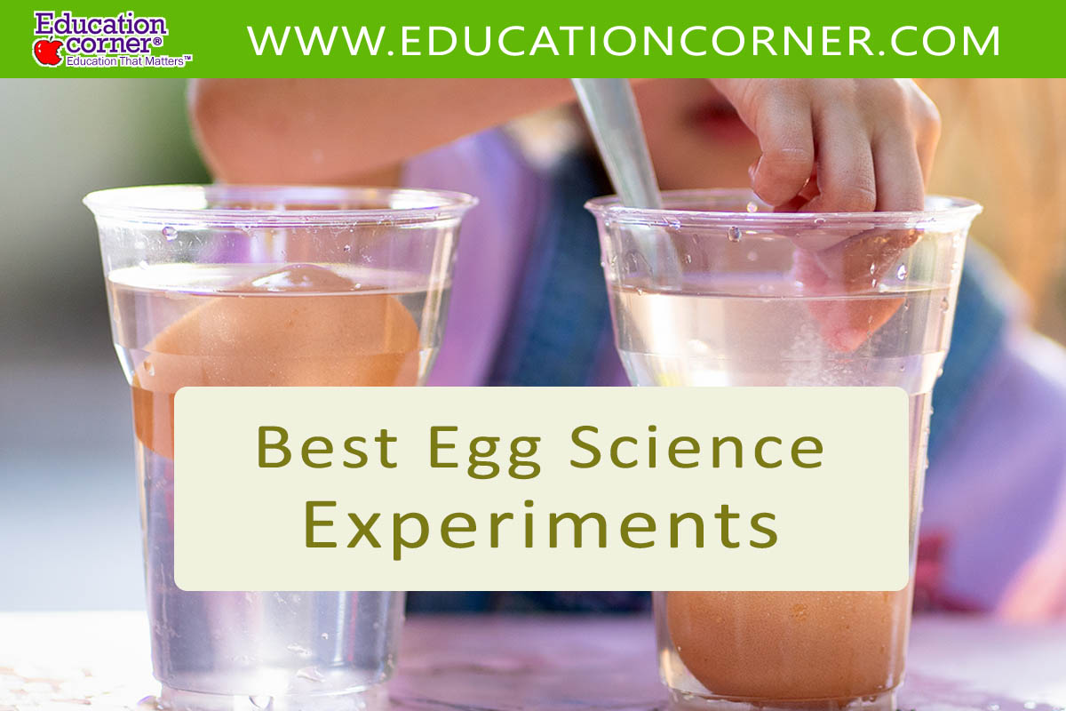 Egg science experiments