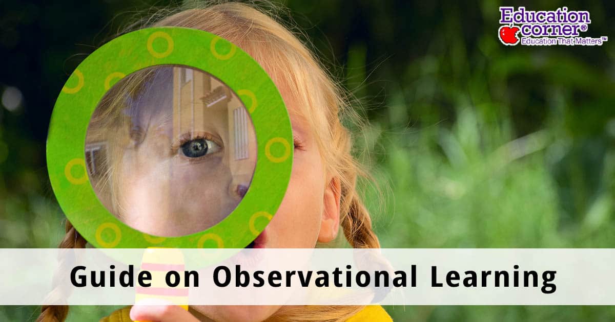 Observational Learning: The Complete Guide