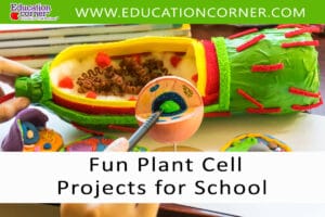 20 Hands-On Plant Cell Projects to Inspire Students - Education Corner