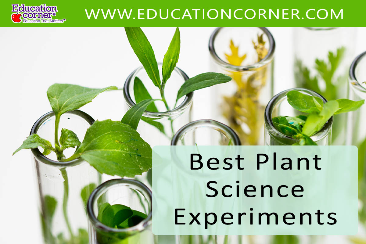 Best plant science experiments