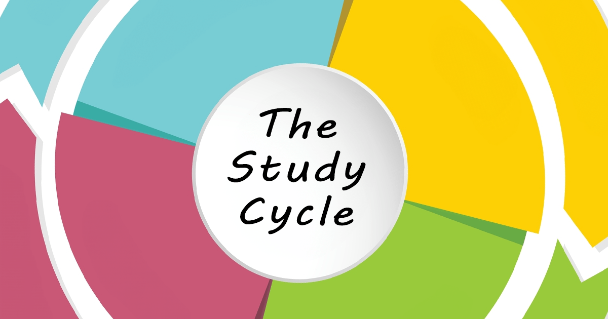 Study cycle