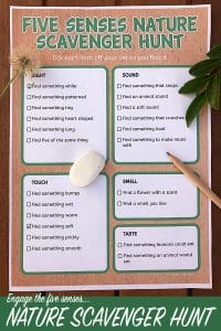 40 Sensory-Rich Five Senses Activities for Kids - Education Corner