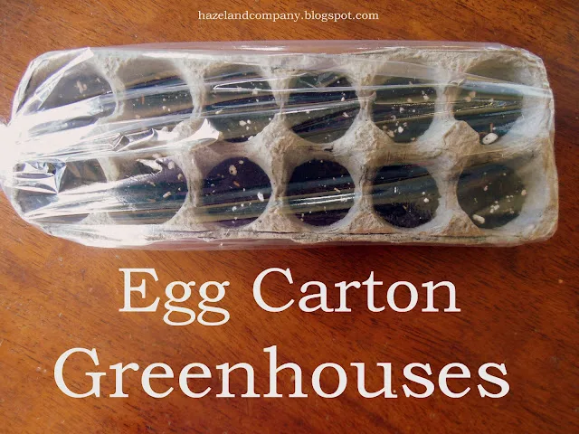 Egg Carton Greenhouses