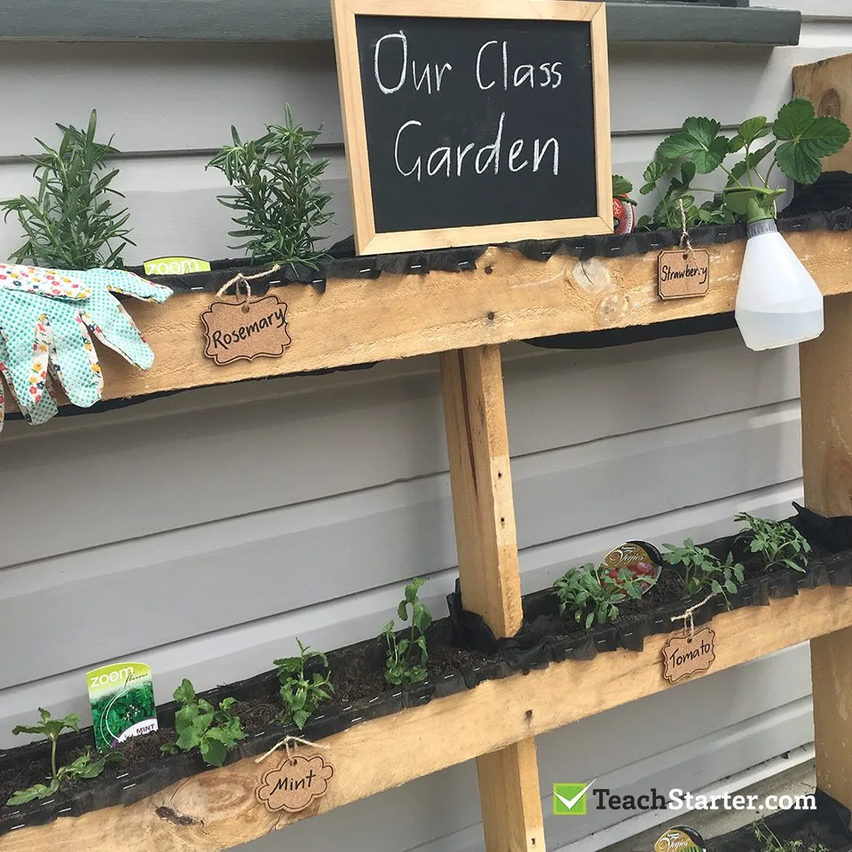  A Classroom Garden on Wooden Layers