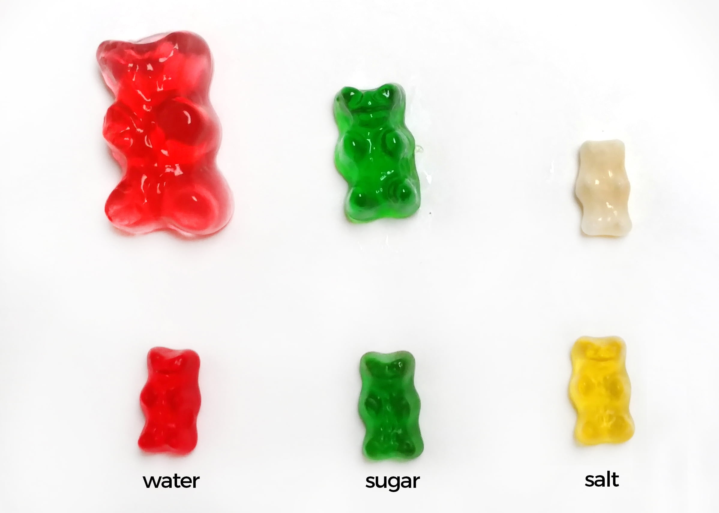 Gummy Bear Science