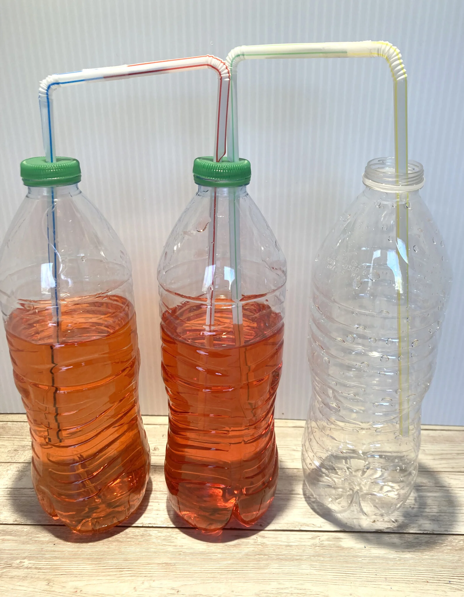 science projects for middle school students Heart Pump