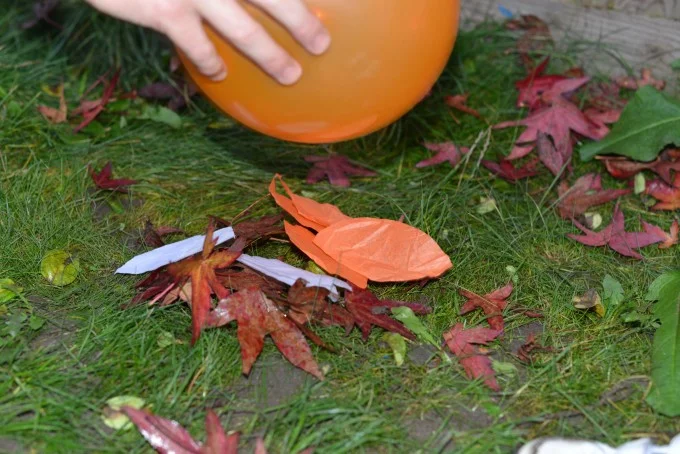 Jumping Leaves