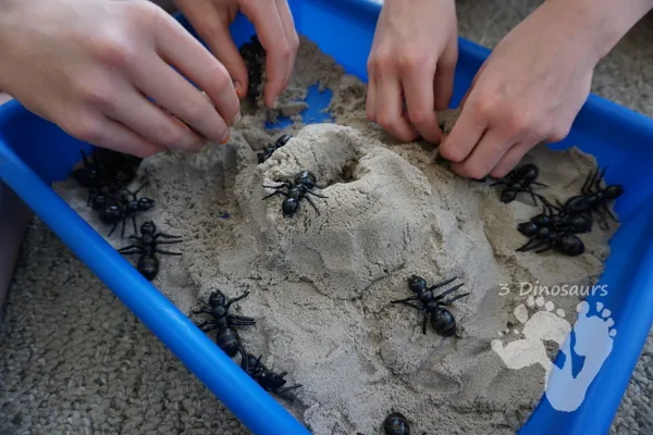 Exploring Ants and Kinetic Sand in a Bin