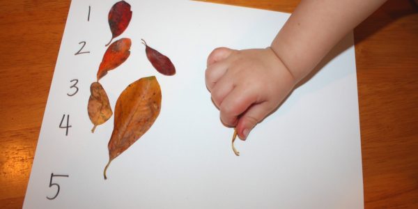 Basic Math with Fall Leaves