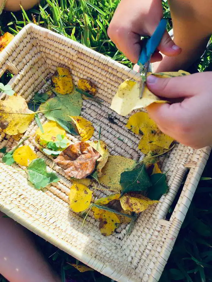 Leaf Cutting Activity