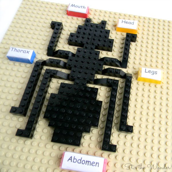 LEGO Insect Anatomy