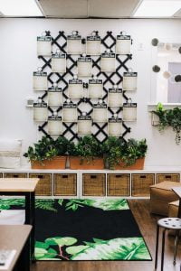 30 Plant-Themed Classroom Ideas to Grow a Love for Learning - Education ...