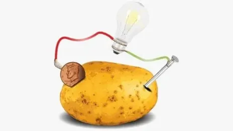 Potato Light Bulb