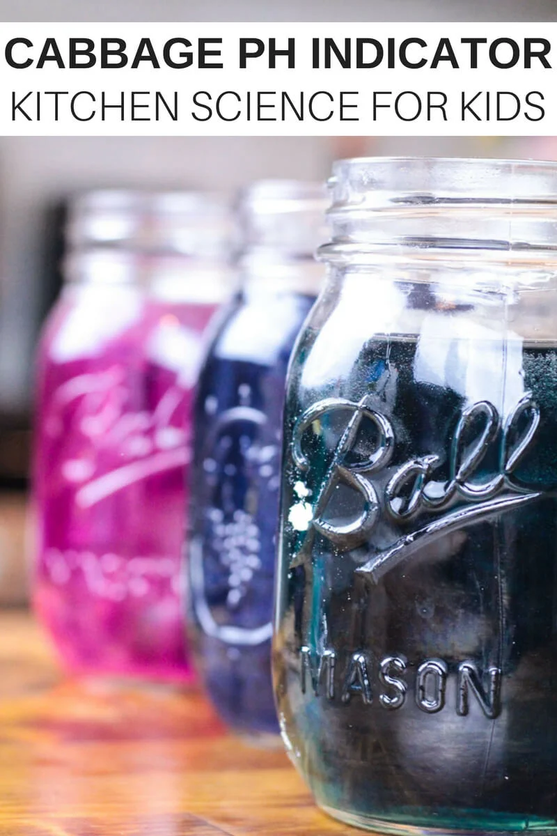 science projects for middle school students Cabbage Ph Indicator