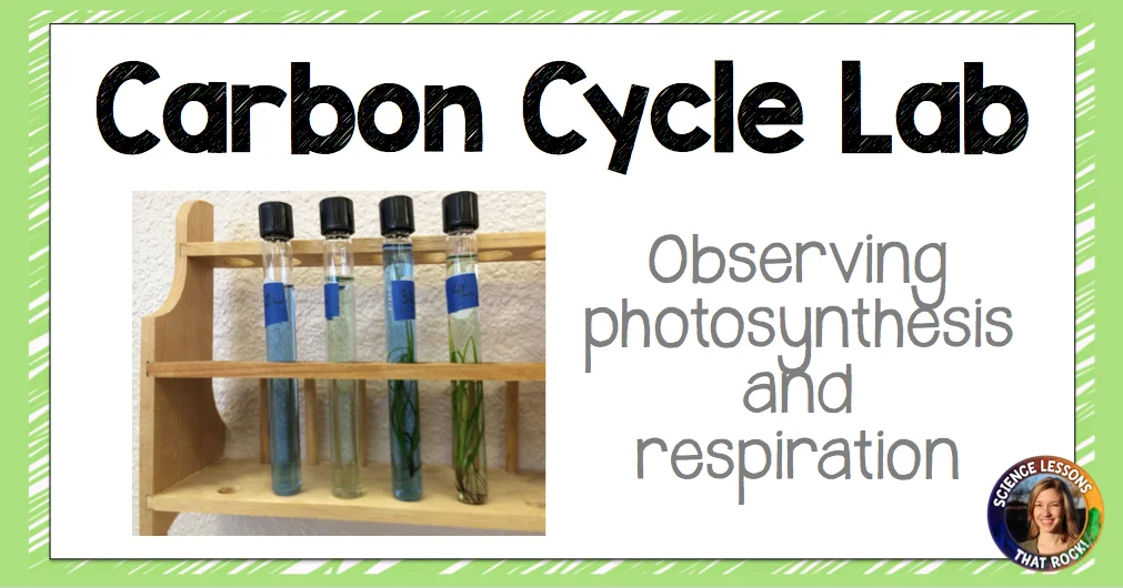 biology projects genetics Witness the Carbon Cycle in Action
