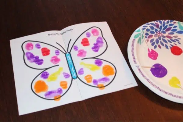 Symmetry Butterfly Painting