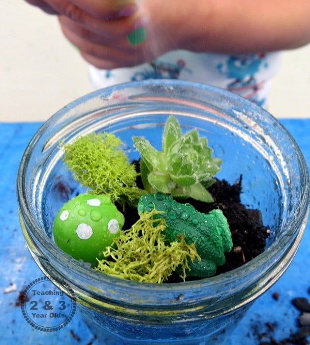 Make a Terrarium