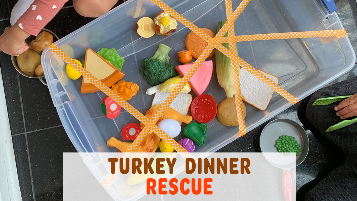 Turkey Dinner Rescue